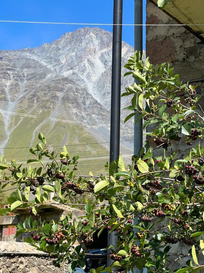 Ia'S Guest House Kazbegi Dış mekan fotoğraf